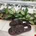 شیک و با کیفیت طبی